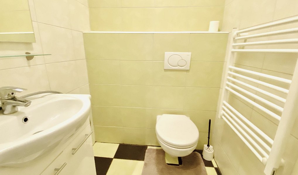 Prodej domu 160 m² s pozemkem 101 m², Slavkov u Brna – náhled fotky 15