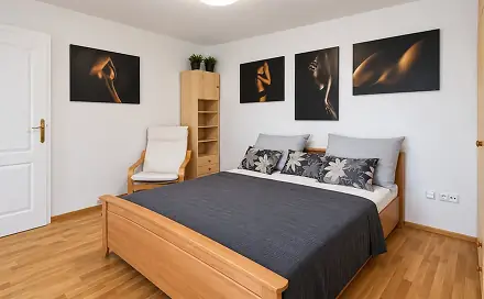 Pronájem bytu 2+1 52 m², Březová, Brno - Jundrov
