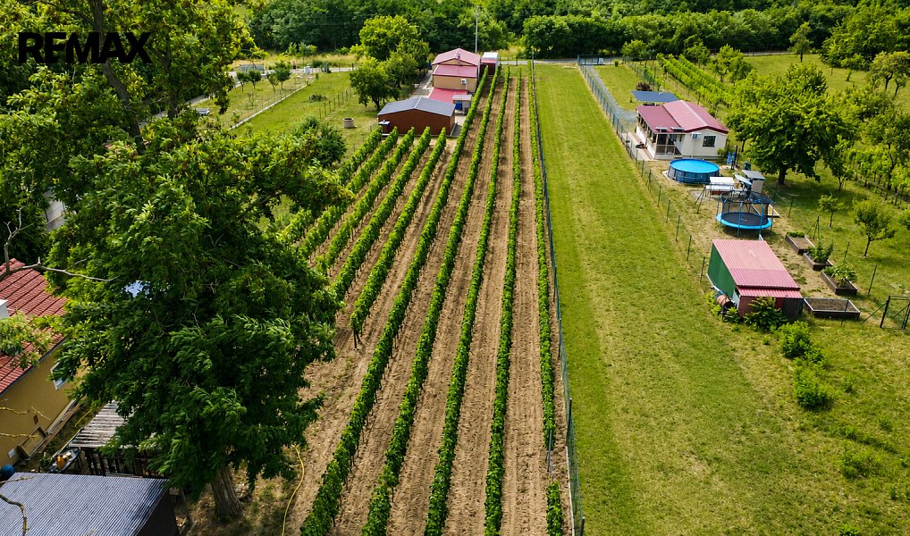 Prodej zahrady 1 560 m², Břeclav – náhled fotky 3