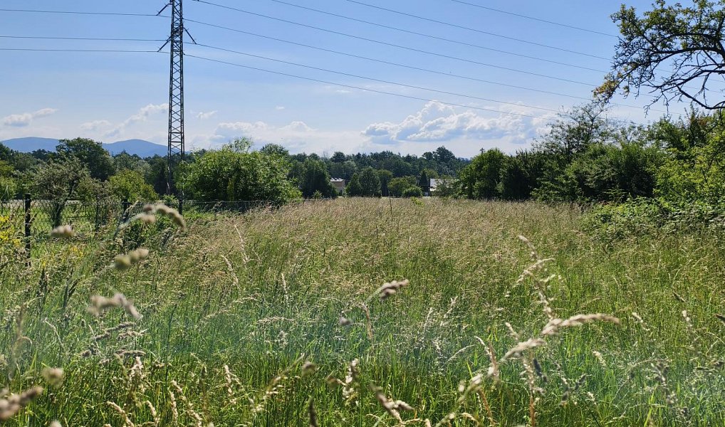 Prodej domu 467 m² s pozemkem 4 154 m², Třinec – náhled fotky 7
