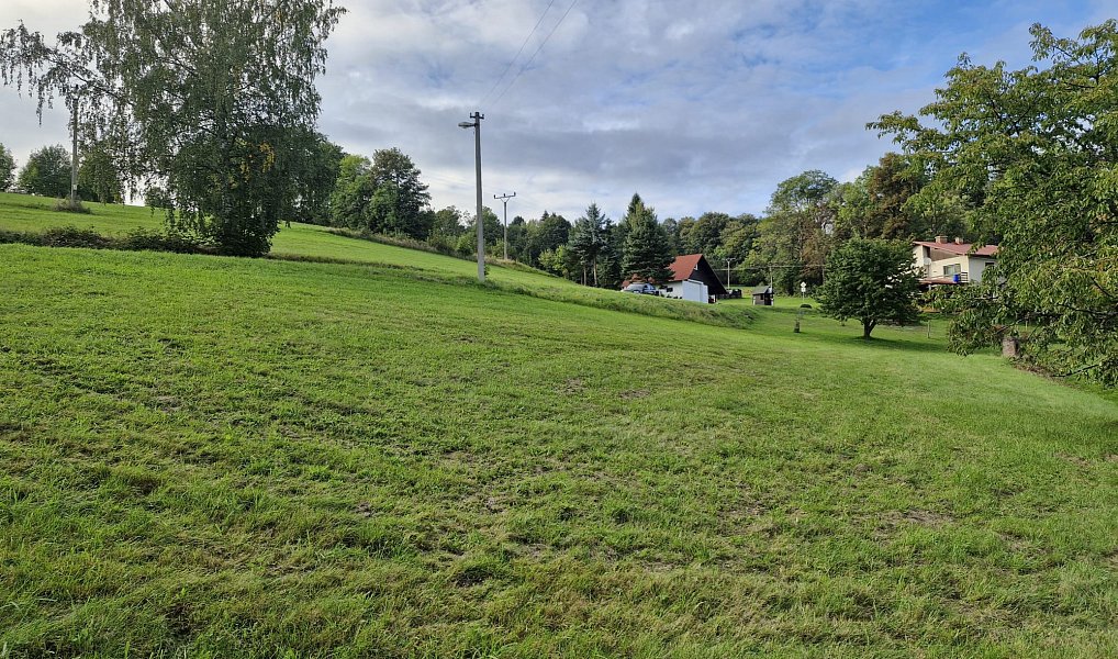 Prodej stavebního pozemku 1 629 m², Zlatá Olešnice – náhled fotky 6