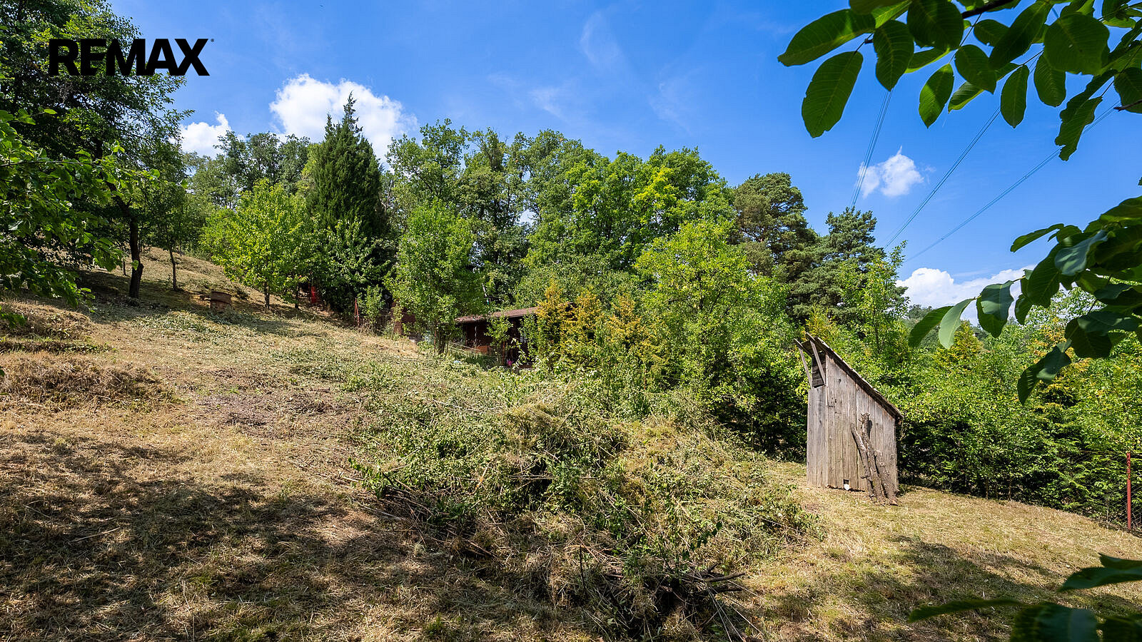 Prodej zahrady 698 m² – fotografie 5