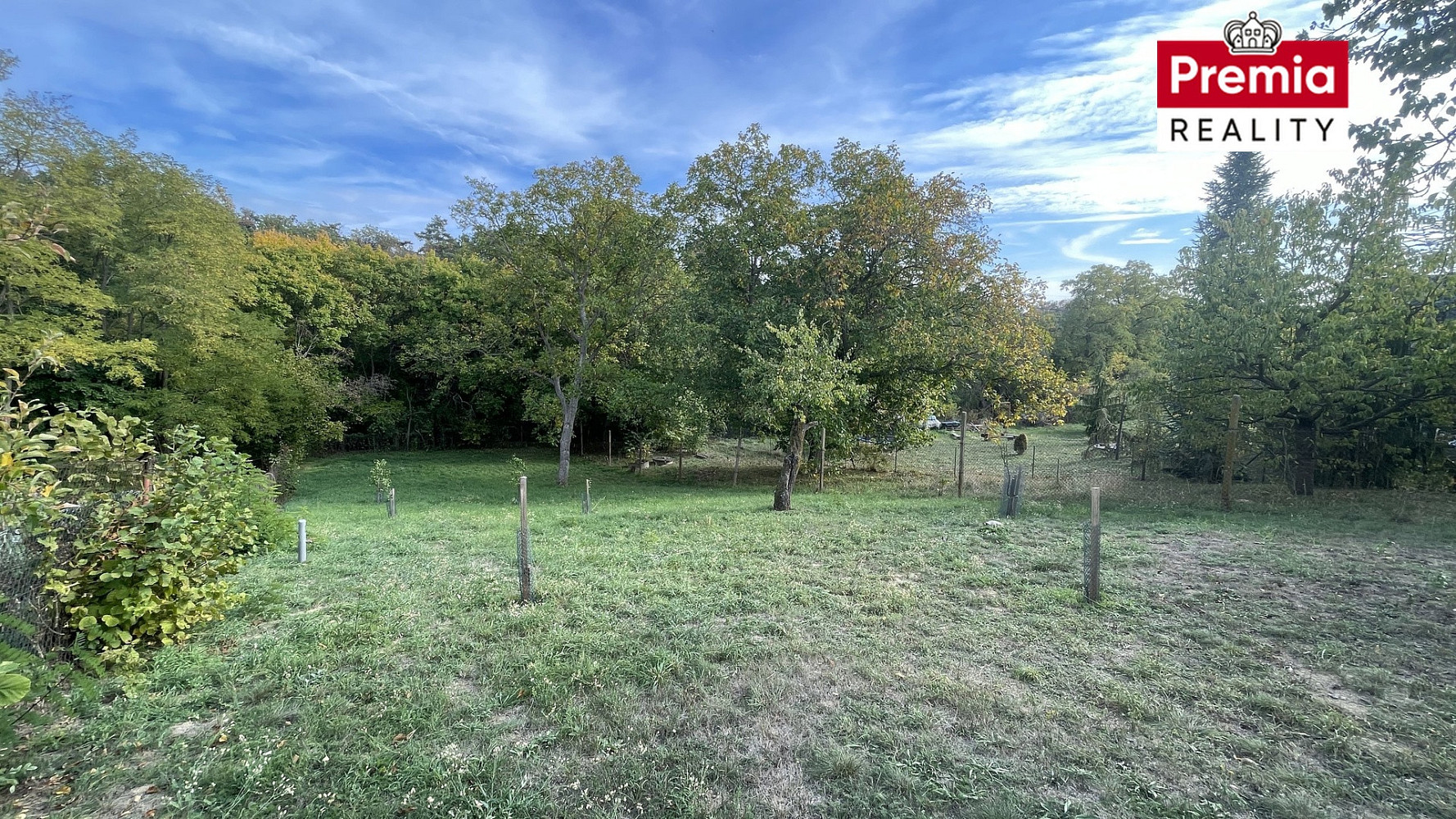 Fotka 14 z 17