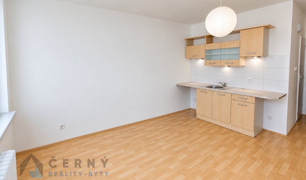 Pronájem bytu 1+1 36 m², Liberec – náhled fotky 4