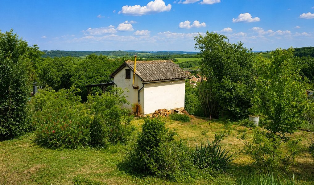 Prodej chaty/chalupy 28 m² s pozemkem 520 m², Libčice nad Vltavou – náhled fotky 5