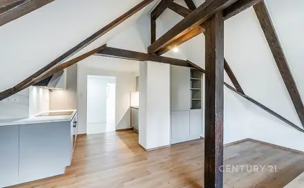 Prodej bytu 3+kk 73 m², Velvarská, Praha 6 - Dejvice