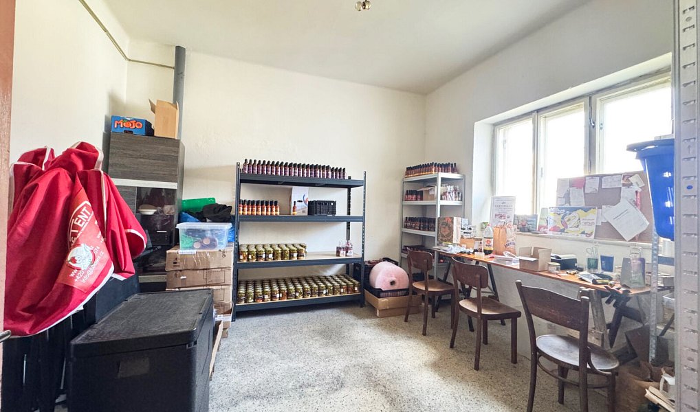 Prodej domu 457 m² s pozemkem 484 m², Vřesina – náhled fotky 17
