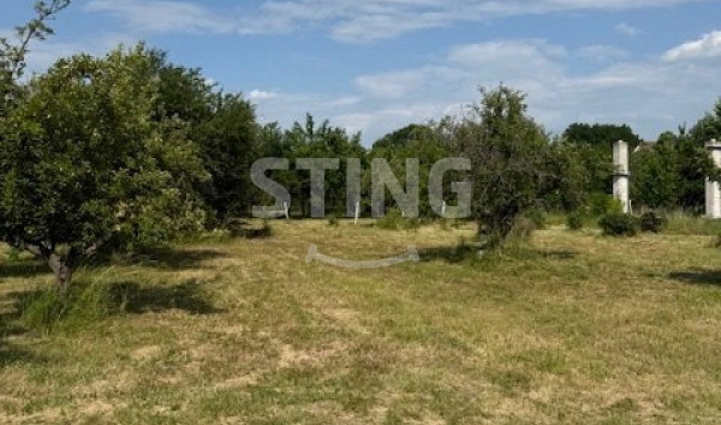 Prodej zahrady 3 628 m², Strážnice – náhled fotky 5