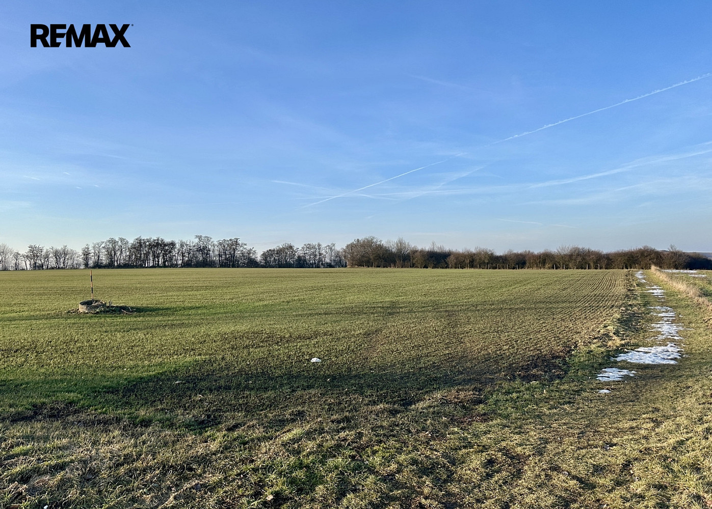 Prodej pole 67 156 m², Velké Přílepy