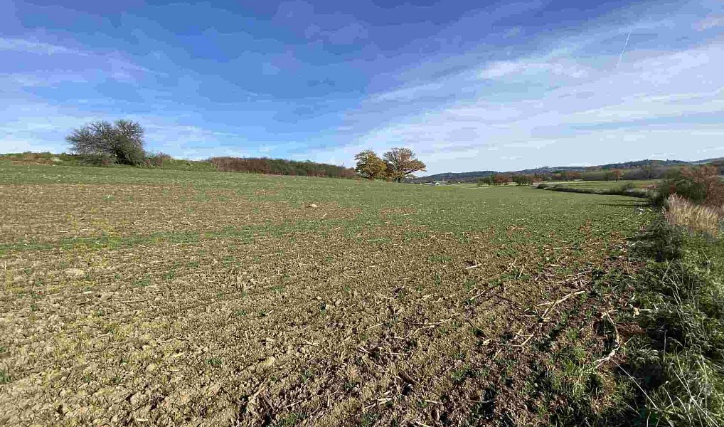 Prodej pole 10 862 m², Blatná – náhled fotky 8