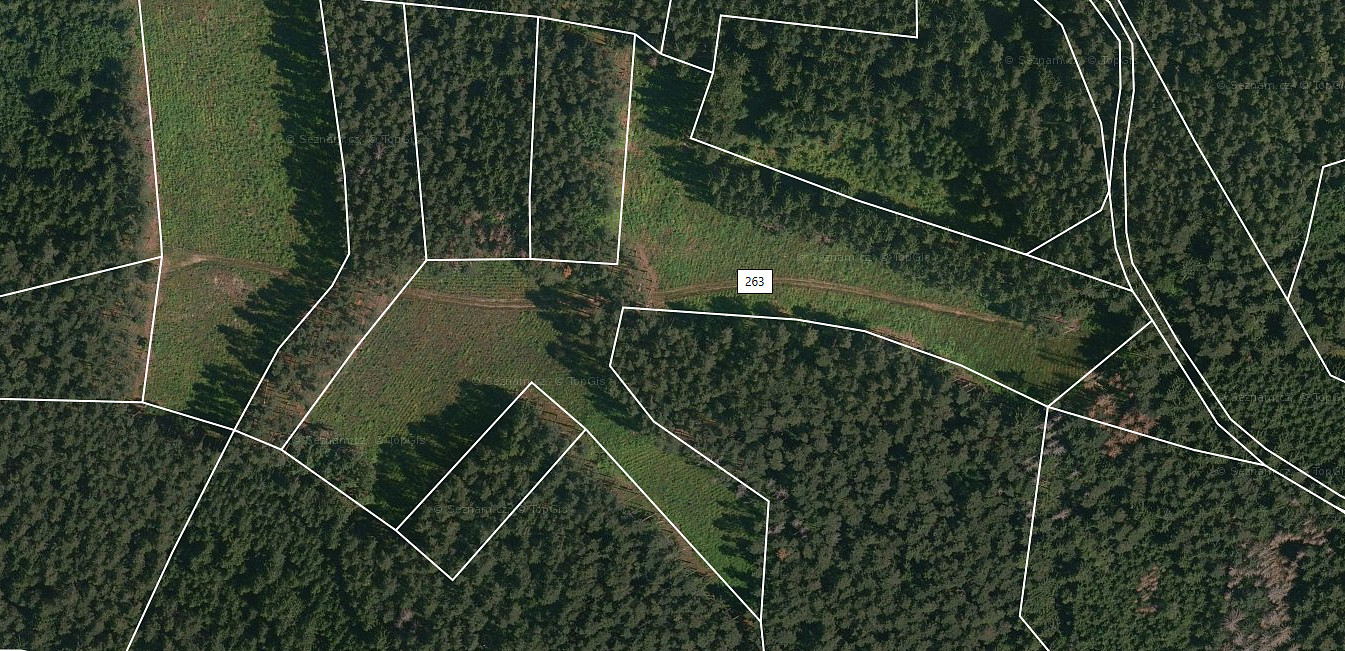 Prodej lesa 22 084 m²