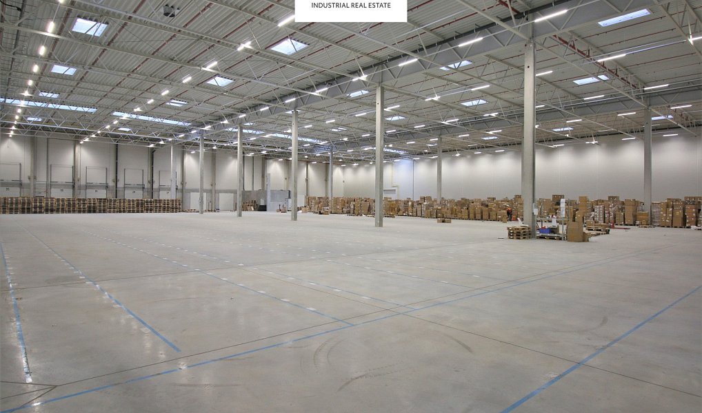 Pronájem skladovacích prostor 1 000 m², Pavlov – náhled fotky 5