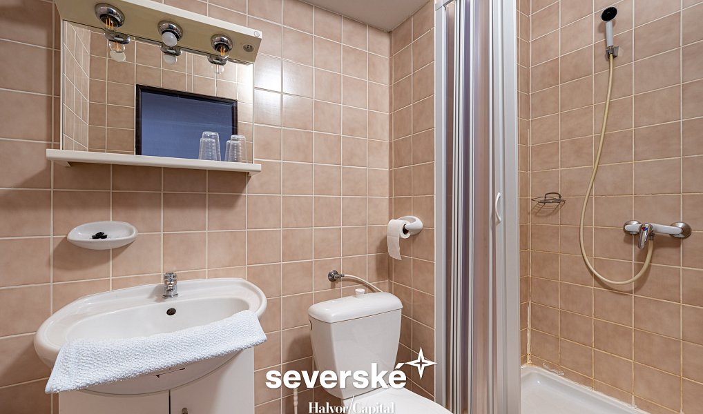 Prodej ubytovacího objektu 4 100 m², Lužice – náhled fotky 24