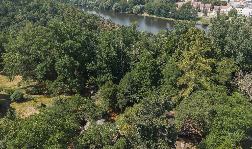 Prodej chaty/chalupy 24 m² s pozemkem 1 480 m², Zdiby – náhled fotky 14