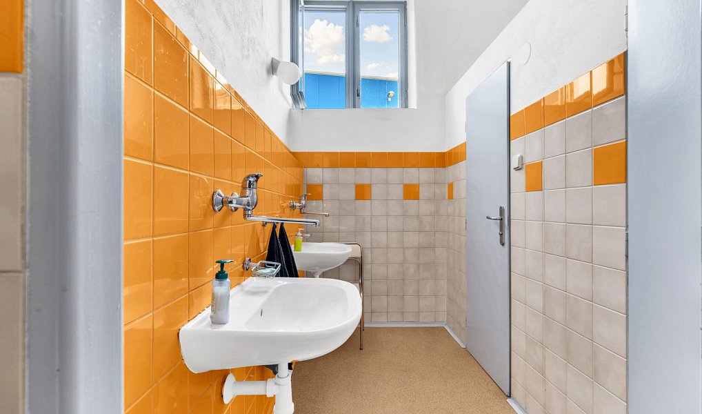 Pronájem skladovacích prostor 800 m², Letkov – náhled fotky 10