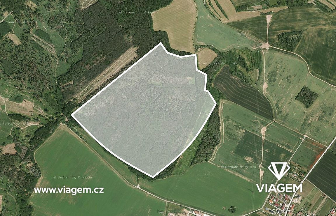 Prodej lesa 23 684 m² – fotografie 2