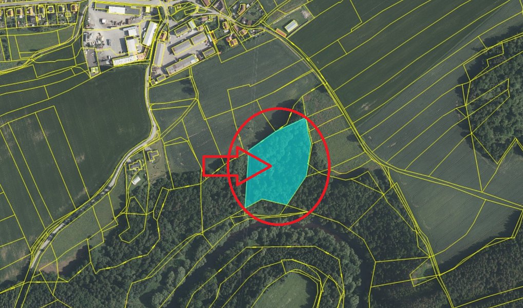 Prodej lesa 15 088 m², Přísečná – náhled fotky 12