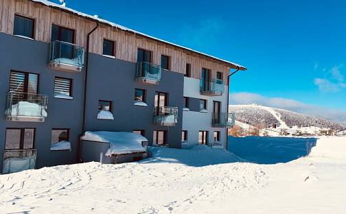 Prodej bytu 2+kk 57 m², Loučná pod Klínovcem - Loučná, okres Chomutov