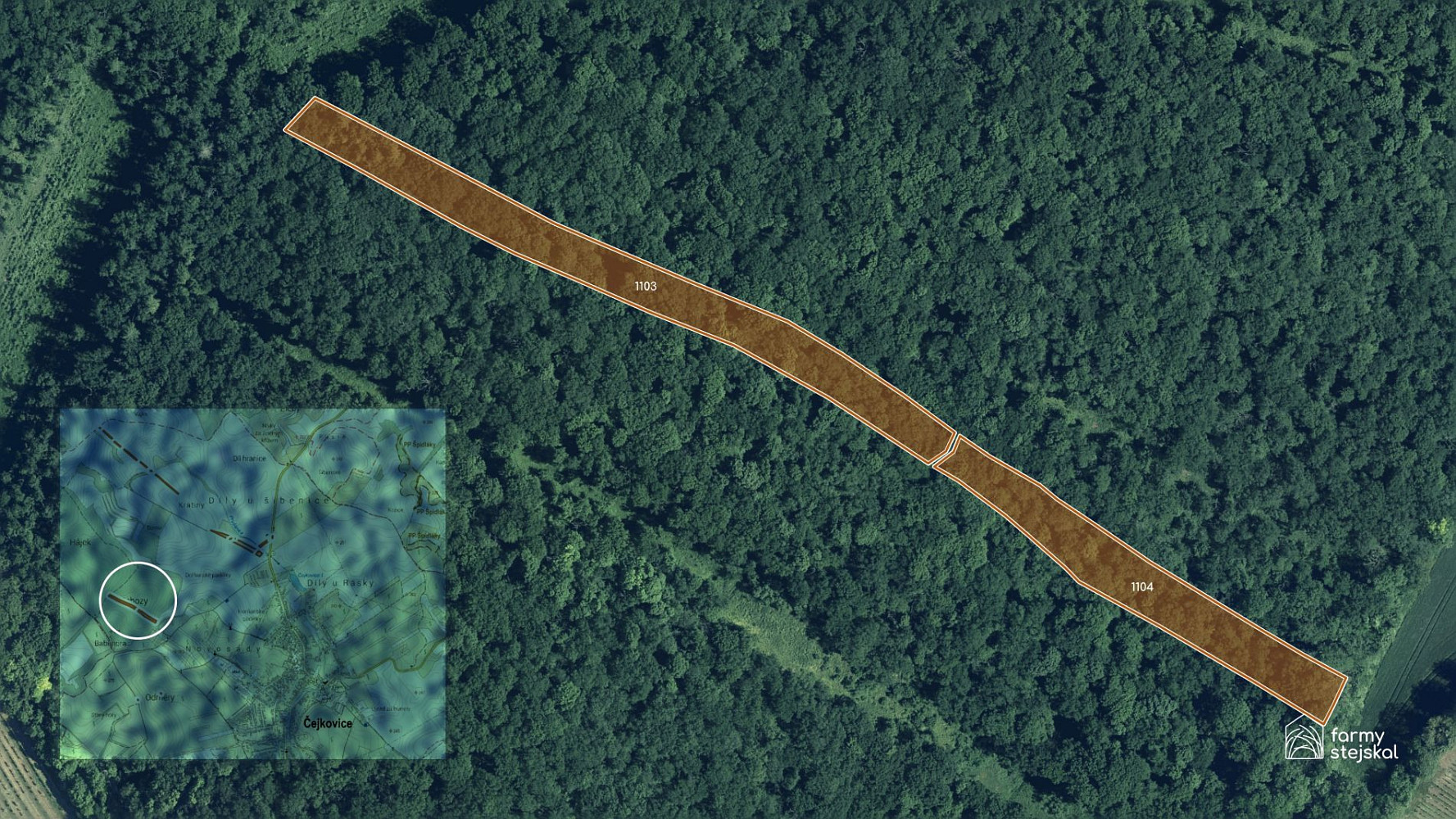 Fotka 11 z 15