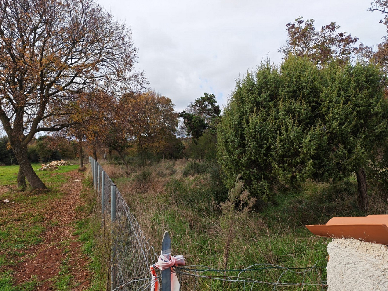 Fotka 12 z 13