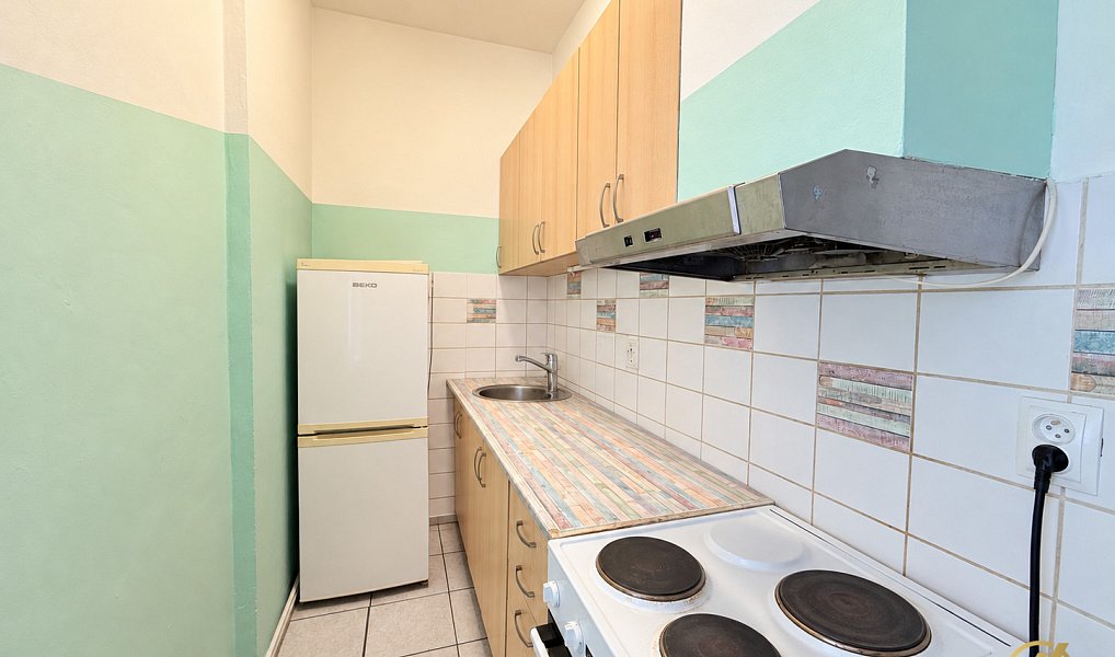Prodej nájemního domu, činžáku 360 m², Mladá Boleslav – náhled fotky 11