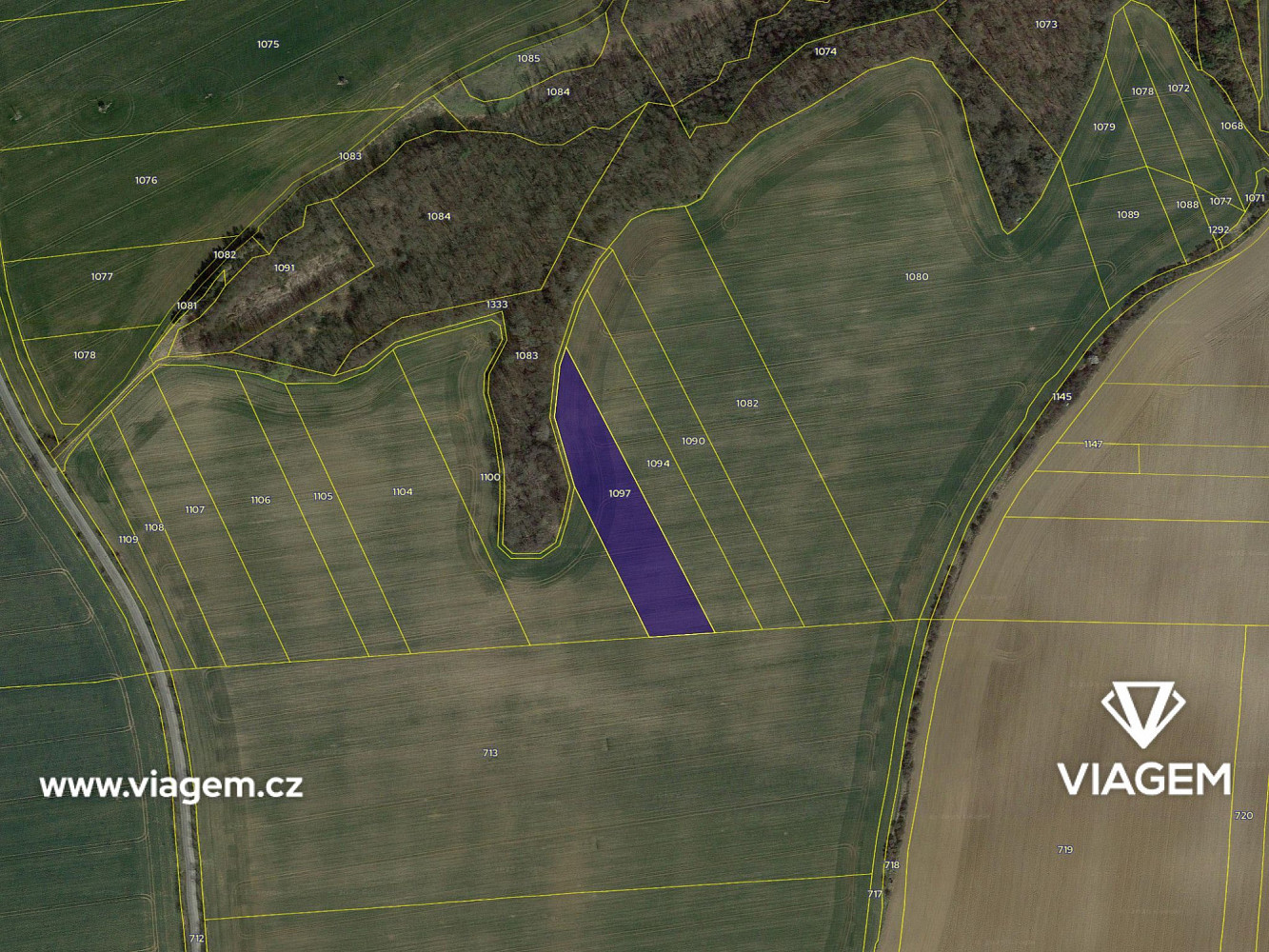 Pole 6 697 m², Podíl 17 % o výměře 1 116 m² – pohled 4