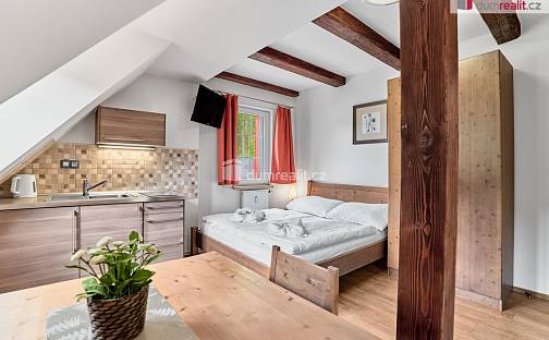 Prodej bytu 1+kk 19 m², Merklín - Pstruží, okres Karlovy Vary