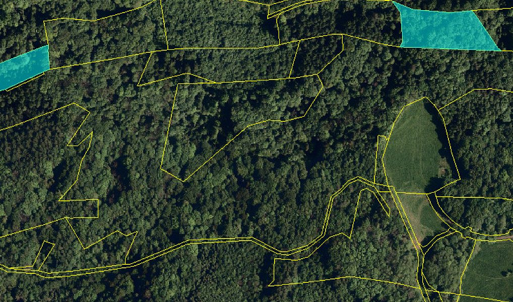 Prodej lesa 21 563 m², Ženklava – náhled fotky 4