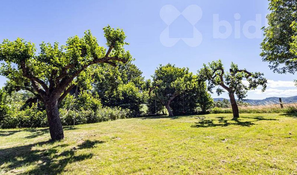 Prodej chaty/chalupy 765 m² s pozemkem 15 104 m², Božanov – náhled fotky 24