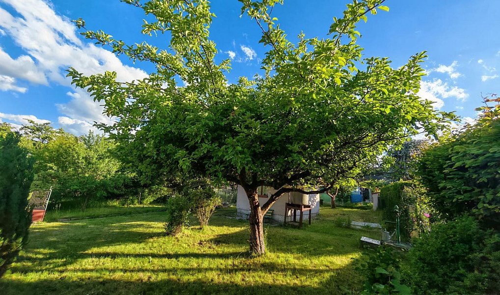 Prodej chaty/chalupy 32 m² s pozemkem 394 m², Rokycany – náhled fotky 27