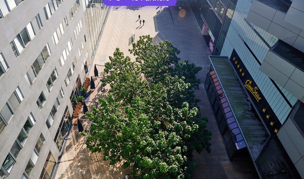 Pronájem kanceláře 360 m², Praha – náhled fotky 10