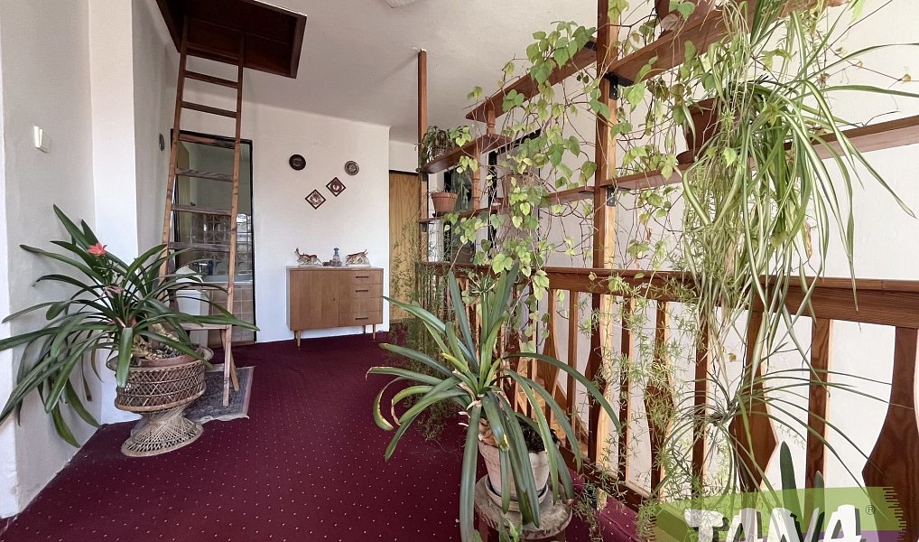 Prodej domu 170 m² s pozemkem 2 398 m², Velký Vřešťov – náhled fotky 11