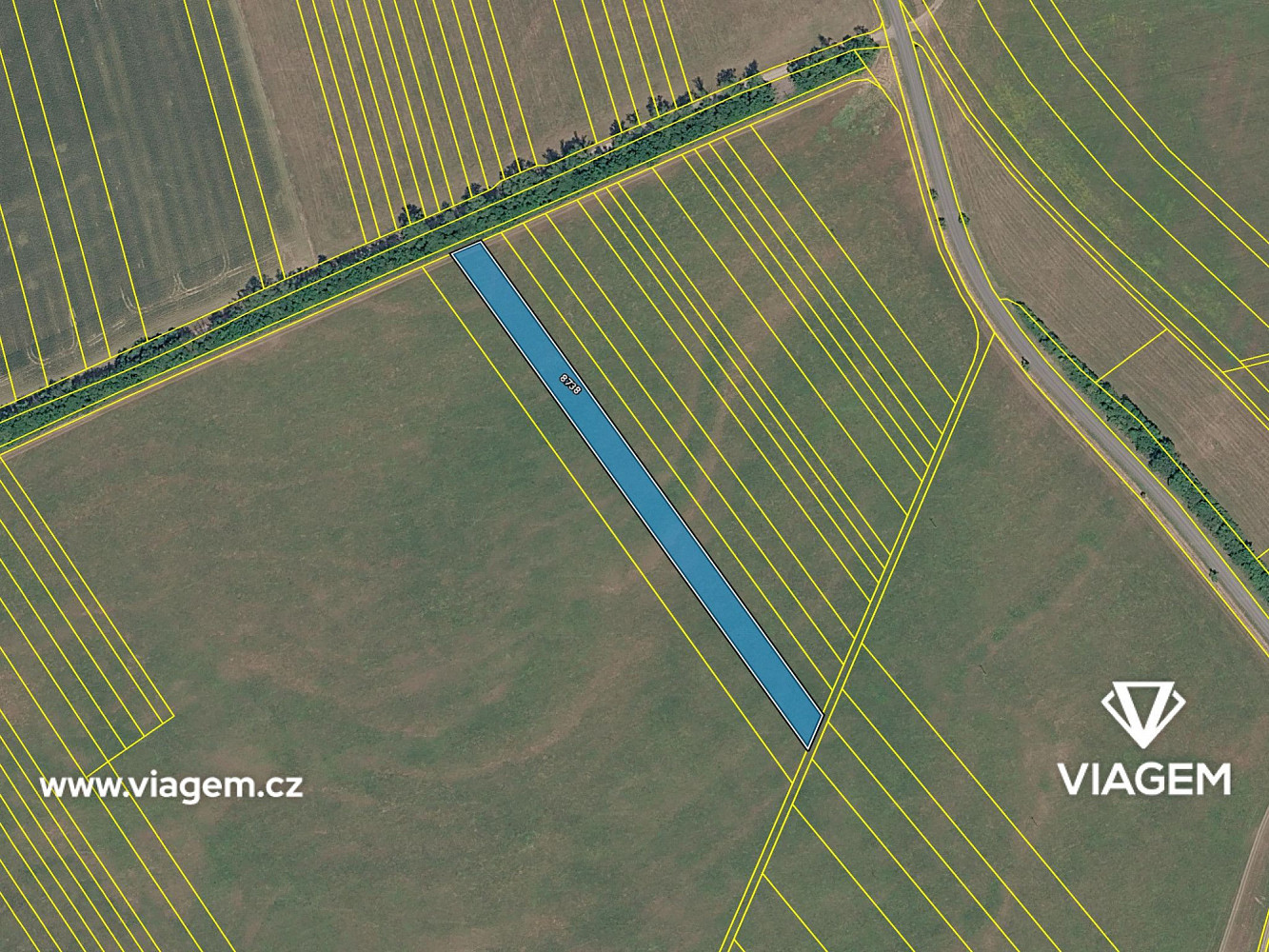 Prodej pole 4 902 m² – fotografie 4