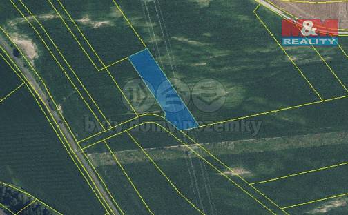 Prodej pole 6 094 m², Krasíkov, okres Ústí nad Orlicí