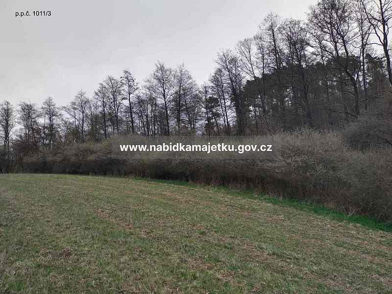 Prodej lesa 432 m² – fotografie 3
