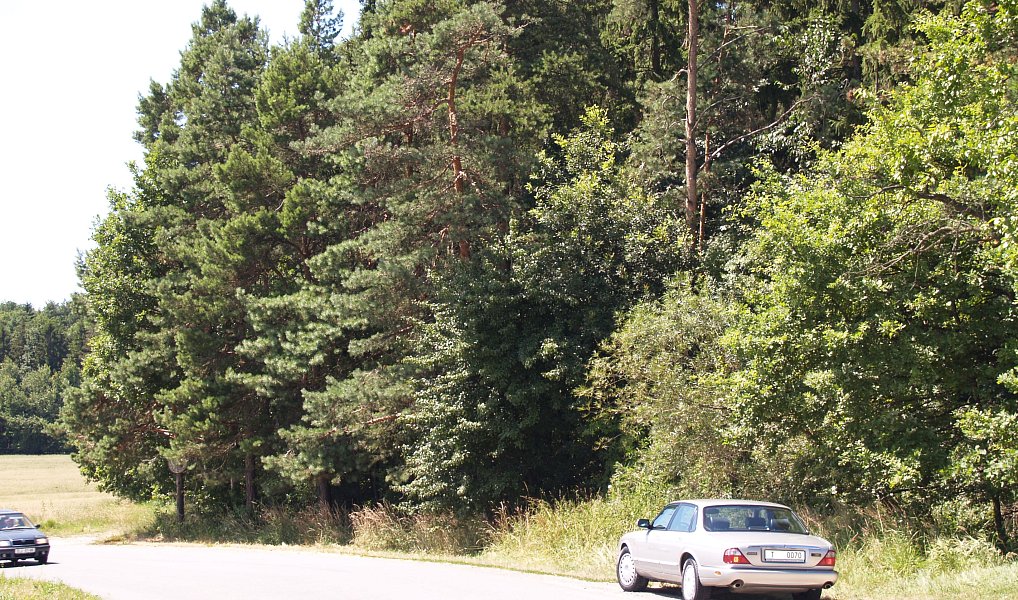 Prodej stavebního pozemku 6 111 m², Zlín – náhled fotky 5