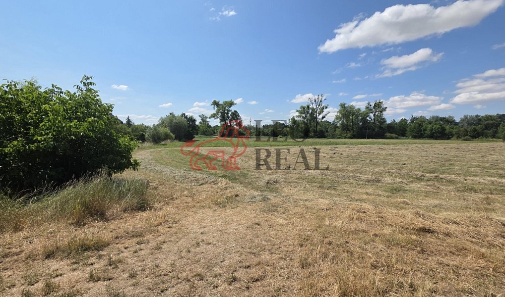 Prodej louky 1 237 m², Chropyně – náhled fotky 2