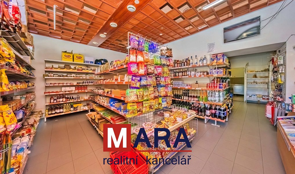 Prodej domu 739 m² s pozemkem 1 095 m², Tovačov – náhled fotky 5
