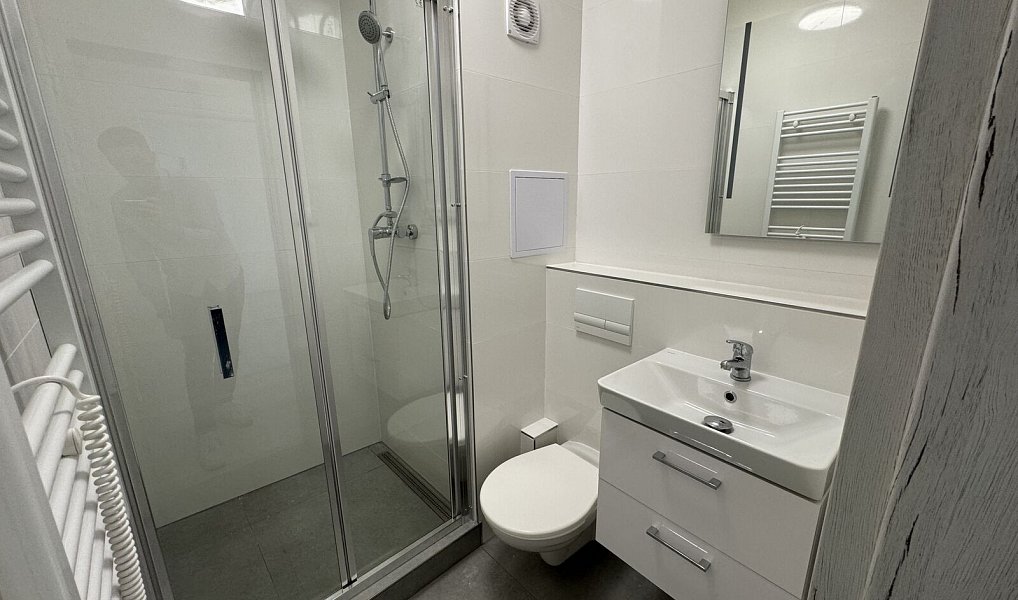Pronájem bytu 1+1 42 m², Ostrava – náhled fotky 3