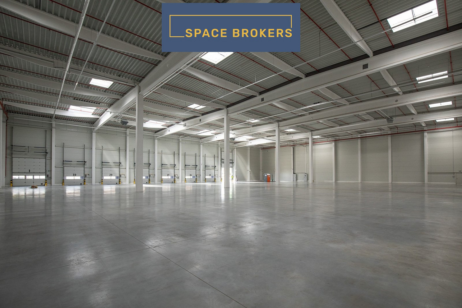 Pronájem skladovacích prostor 4 378 m² – fotografie 3