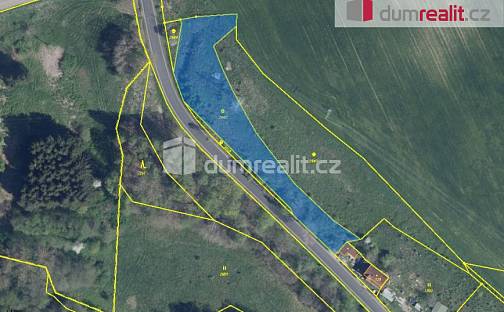 Prodej stavebního pozemku 2 958 m², Dasnice, okres Sokolov