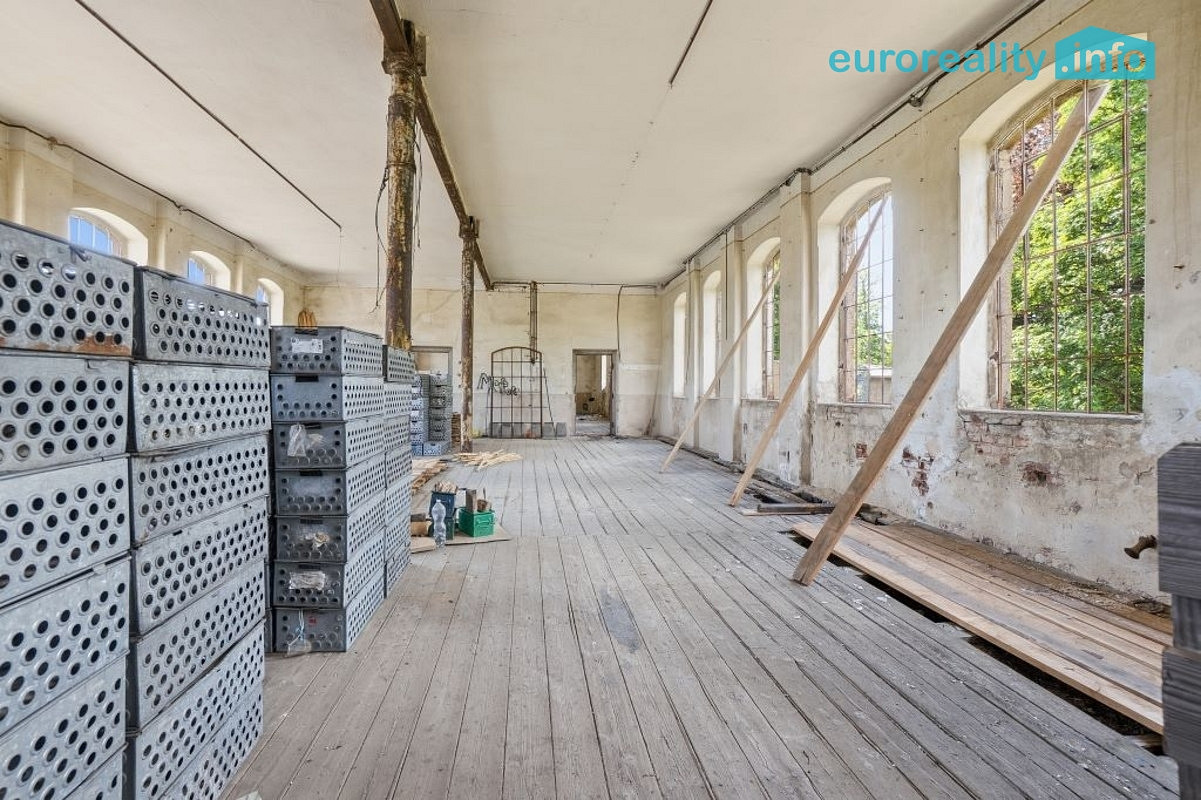 Fotka 13 z 27