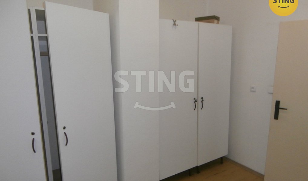 Pronájem obchodních prostor 240 m², Opava – náhled fotky 20
