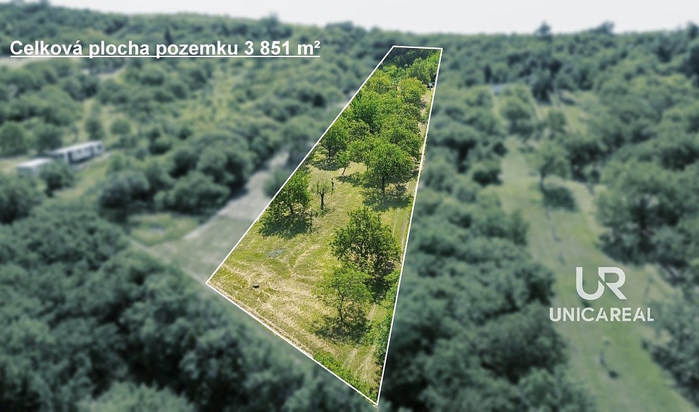 Prodej pole 3 851 m², Židlochovice – náhled fotky 5