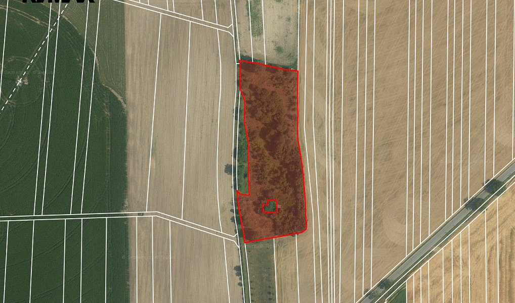 Prodej zahrady 9 203 m², Němčany – náhled fotky 6