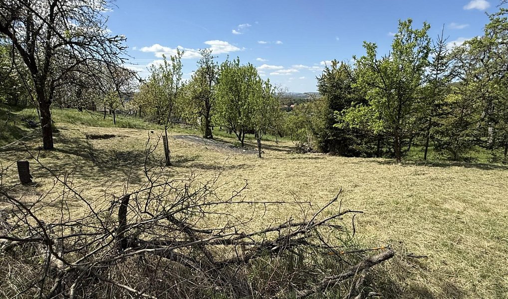 Prodej zahrady 539 m², Slavkov u Brna – náhled fotky 5