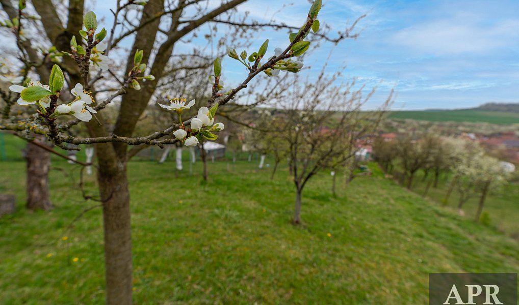 Prodej domu 105 m² s pozemkem 1 078 m², Boršice u Blatnice – náhled fotky 40