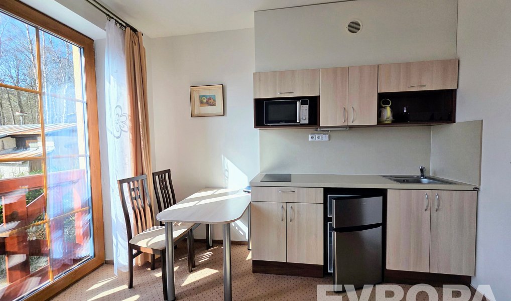 Pronájem bytu 1+kk 31 m², Rokytnice nad Jizerou – náhled fotky 4