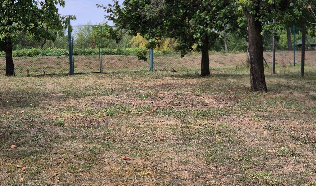 Prodej domu 70 m² s pozemkem 1 811 m², Bukovany – náhled fotky 26