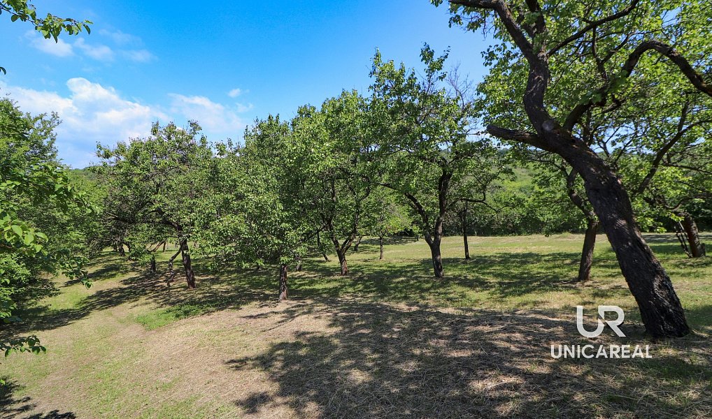 Prodej pole 3 851 m², Židlochovice – náhled fotky 13